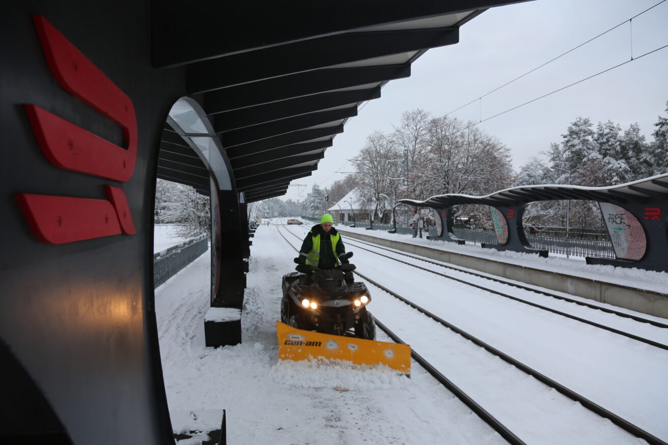 Libedusetõrje talvetingimustes: eksperdi nõuanded lume ja jää vastu