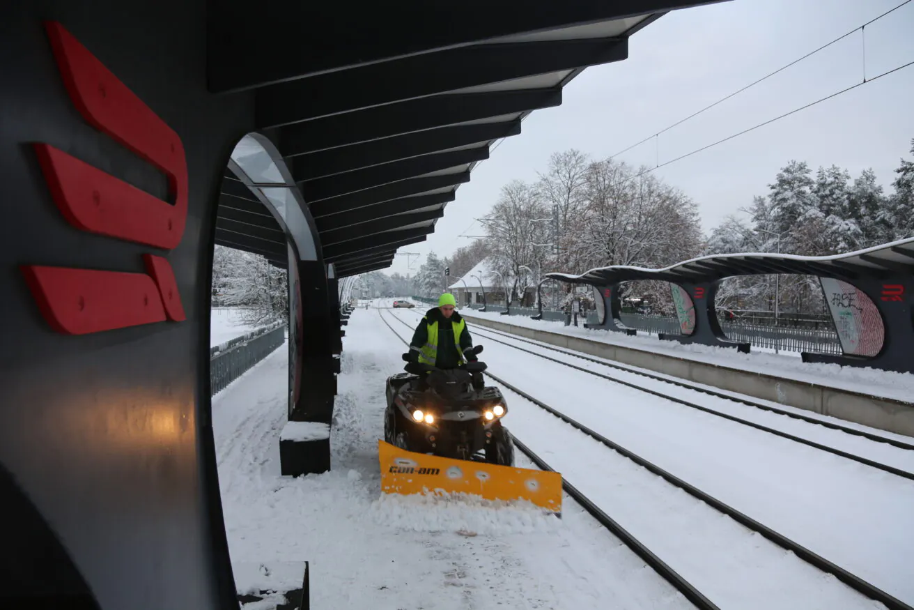 Libedusetõrje talvetingimustes: eksperdi nõuanded lume ja jää vastu